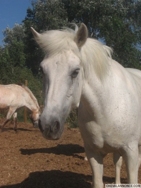Photo de profil de kerabella