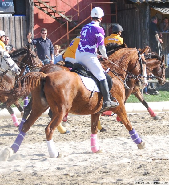Photo de profil de horseballeur33