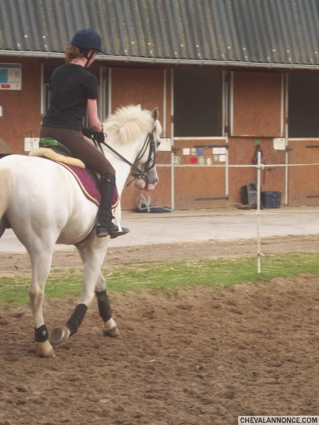 Photo de profil de heleneln