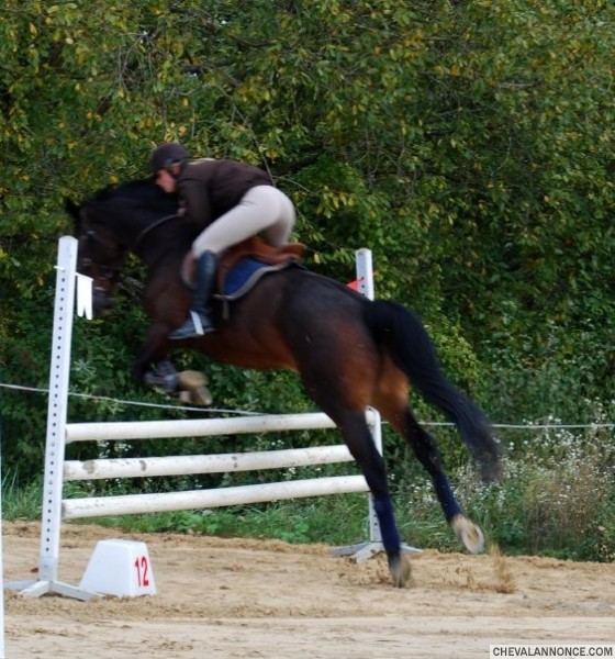 Photo de profil de anais2591