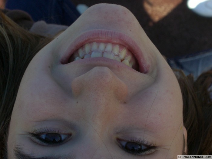 Photo de profil de albaneleprince