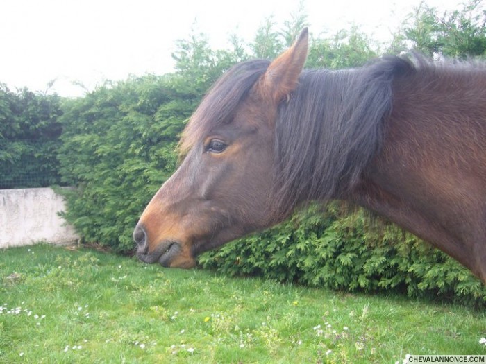 Photo de profil de bachut2