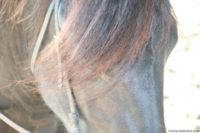 Photo de profil de djhelo