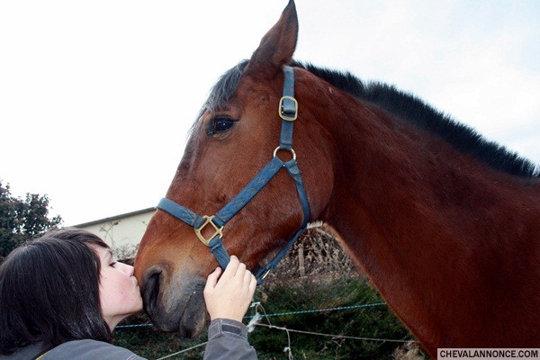 Photo de profil de figaro42