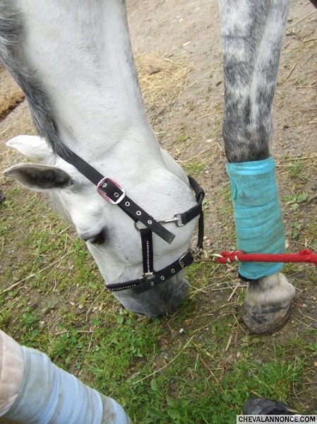 Photo de profil de fanny95