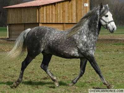 Photo de profil de elisabel13