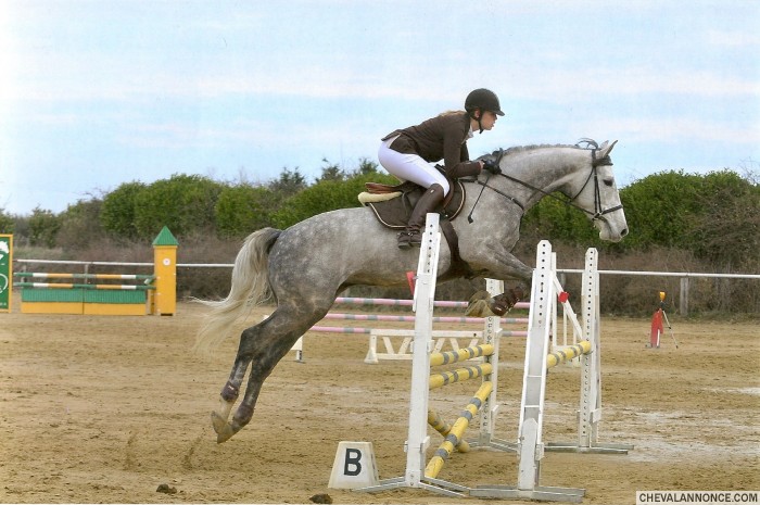 Photo de profil de mquartz