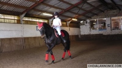 Photo de profil de keyko777