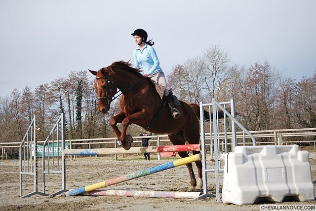 Photo de profil de hort