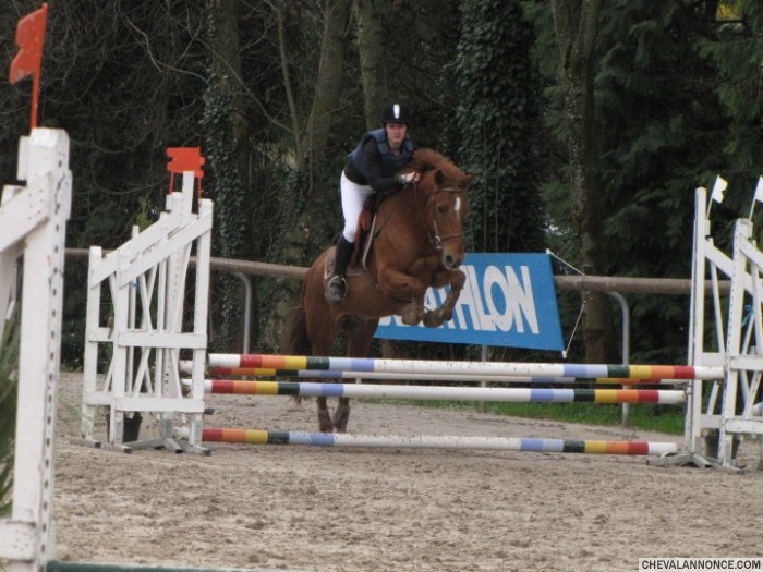 Photo de profil de june