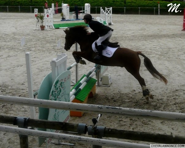 Photo de profil de mickelkel4459