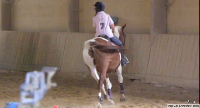 Photo de profil de saraa