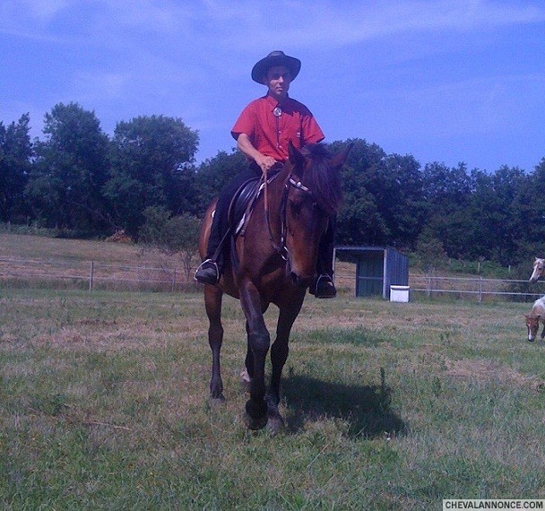 Photo de profil de horseman40