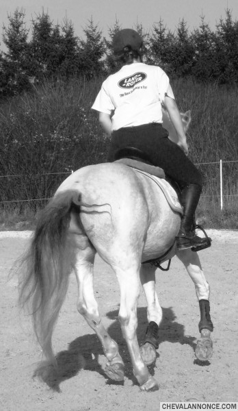 Photo de profil de ildaho03