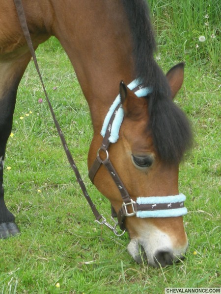Photo de profil de jujug