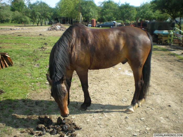 Photo de profil de deadgirl54