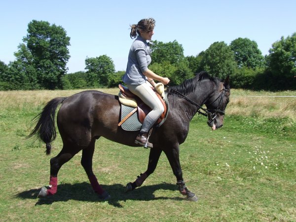 Photo de profil de ade86
