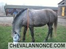 Photo de profil de helodu22