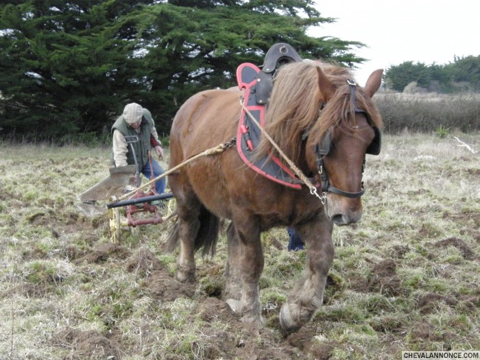 Photo de profil de phlou