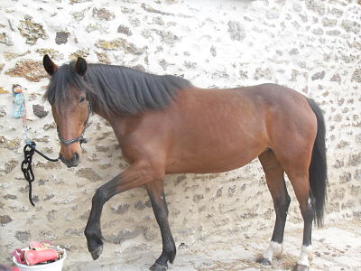 Photo de profil de anitagilles