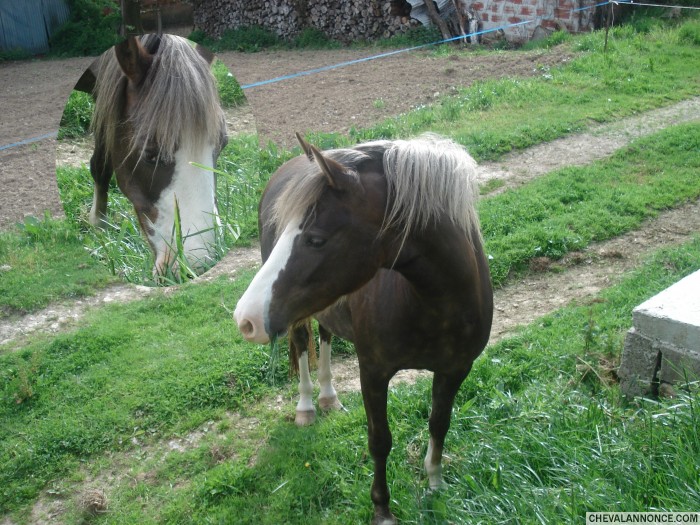 Photo de profil de dansmesreves