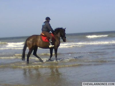 Photo de profil de freddy59180