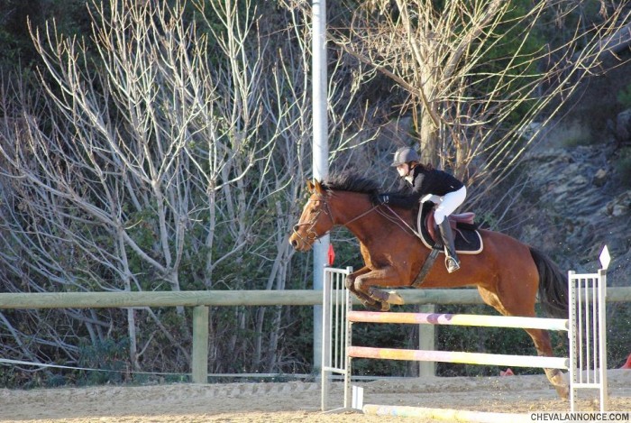 Photo de profil de zezette30