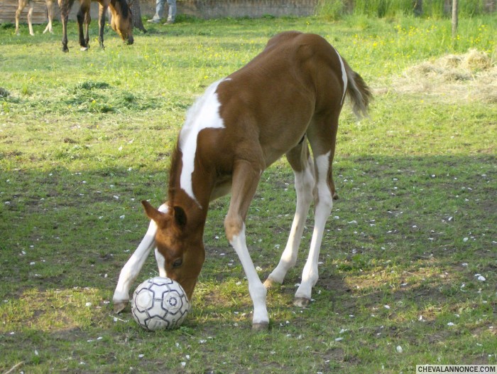 Photo de profil de margotje