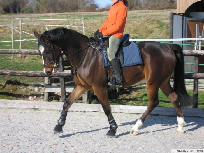 Photo de profil de thestig