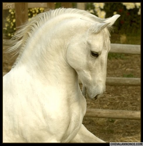 Photo de profil de ursann