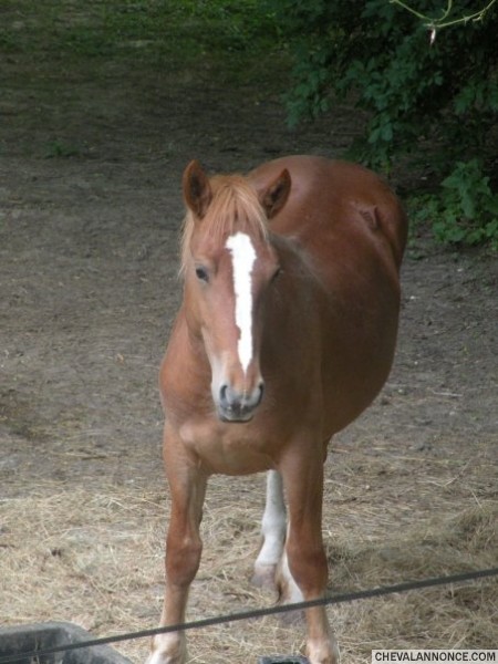 Photo de profil de theresebonnefon