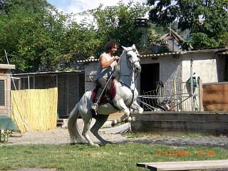 Photo de profil de belhal30