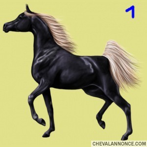 Photo de profil de loulouetelle