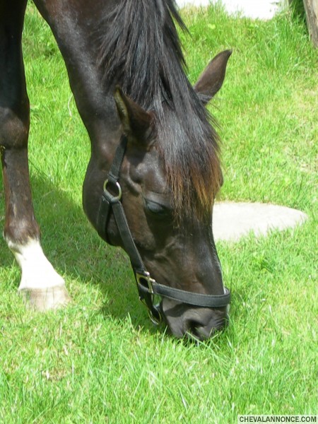 Photo de profil de edjahir