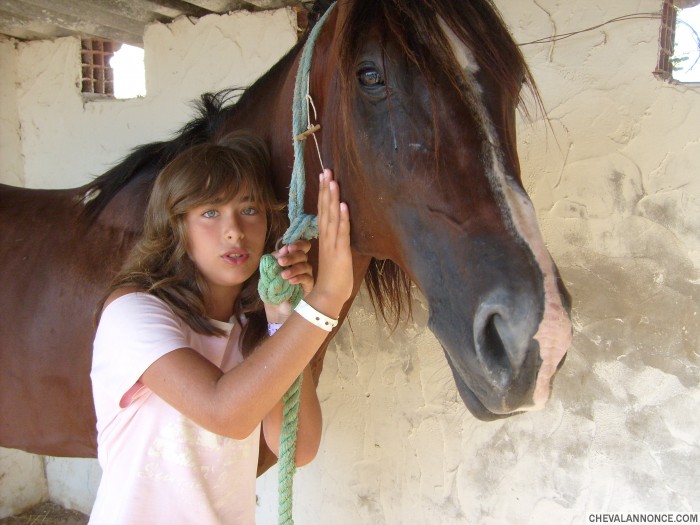 Photo de profil de malocheval