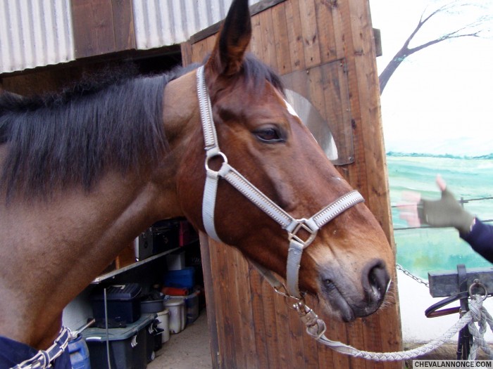 Photo de profil de nathalie67