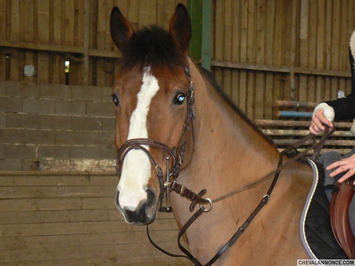 Photo de profil de fanny.meyer
