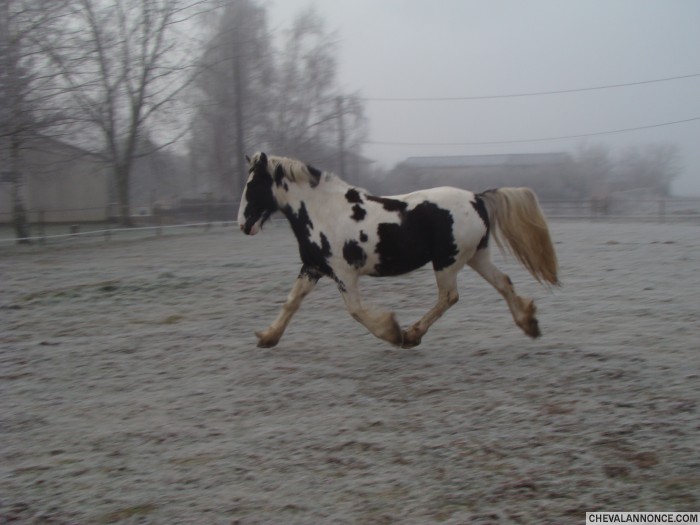 Photo de profil de fabtinker