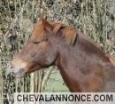 Photo de profil de howen62