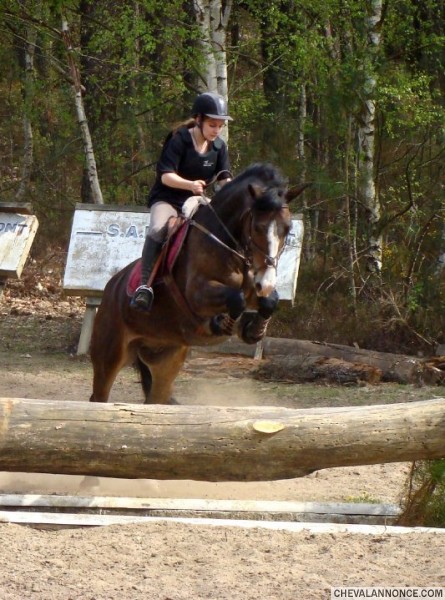 Photo de profil de larutan