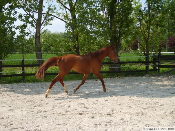 Photo de profil de milie57