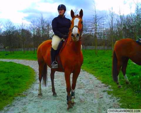 Photo de profil de lucie2989