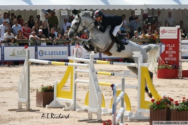 Photo de profil de mariiiiion