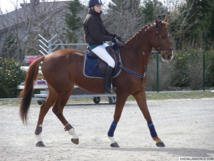 Photo de profil de anaelle01