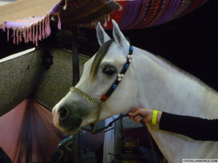 Photo de profil de rotja