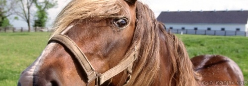 Photo de profil de cannellepqtam