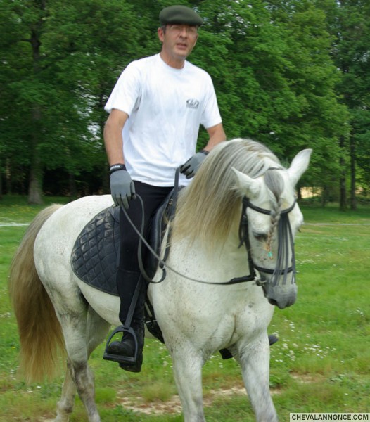 Photo de profil de passioncheval32