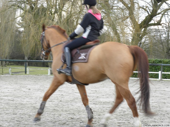 Photo de profil de rython