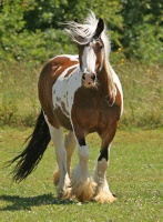 Photo de profil de cheyenne77
