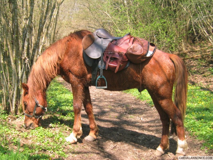 Photo de profil de oscara